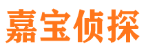 宝丰市调查公司